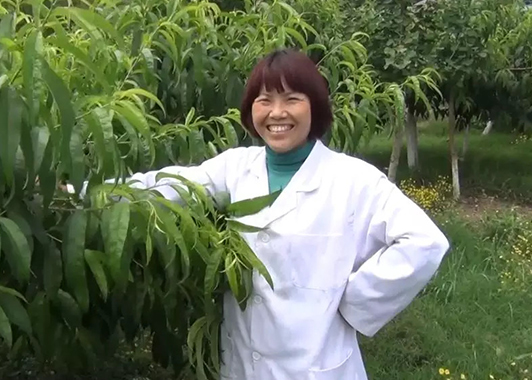 幸福農(nóng)場(chǎng)中的幸福事