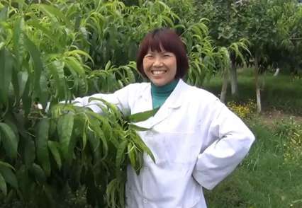 幸福農場中的幸福事