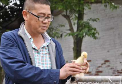 小苗定制上孵打開致富之門