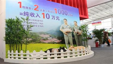 【愛畜牧】何健：抗生素替代物只是禁抗措施的一部分