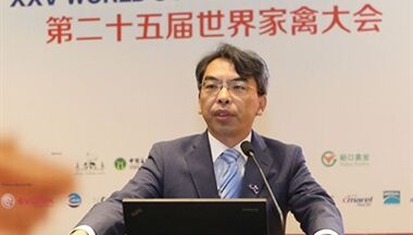 【搜狐】一枚放心雞蛋需要突破三大矛盾