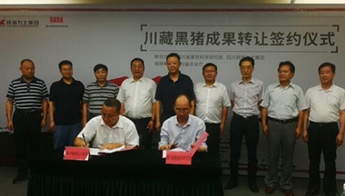 【四川省農(nóng)業(yè)廳】川藏黑豬成果轉(zhuǎn)讓簽約儀式在成都舉行