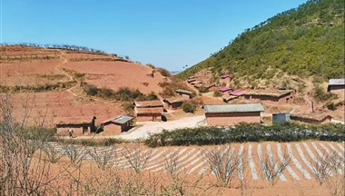 【四川日?qǐng)?bào)】媒體聚焦︱打“井”養(yǎng)豬新探索，喜德縣整合