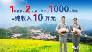 【媒體報道】鐵騎力士1211豬場托管引領養豬領域發展