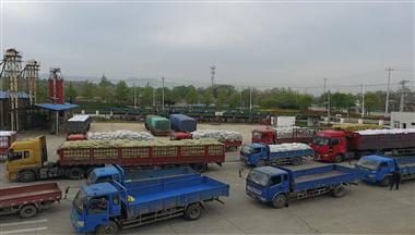 產(chǎn)銷兩旺 陜西公司銷量突破萬(wàn)噸