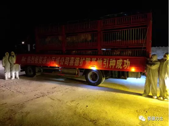 1582795291(1) 1582795291(1)