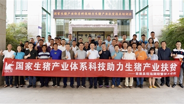 如何養豬致富？科學家們這樣說……