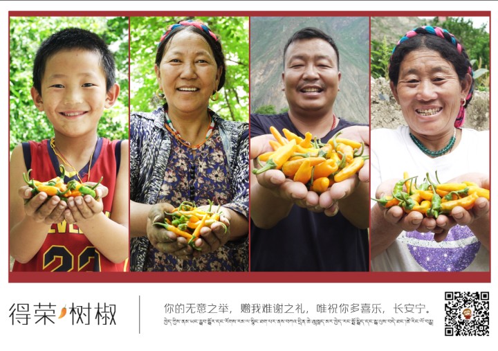 得榮樹椒明信片 (2).jpg