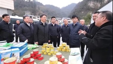 赴威信縣調(diào)研,云南省委副書記、省長王予波對滇東北金色