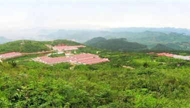 全國僅62家!鐵騎力士2家豬場入選首批“無非洲豬瘟小區(qū)”