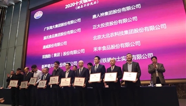 行業榮耀時刻!鐵騎力士集團再獲“十大領軍飼料企業”!